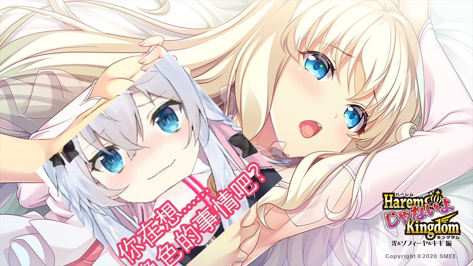 图片[1] - 【Gal】【PC/汉化】HaremKingdom FD1 光、索菲娅、琪琪篇 / HaremじゃないよKingdom 光&ソフィーヤ&キキ編 - Hikarinagi